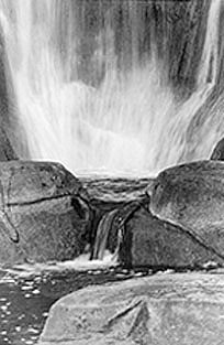 /images/innerwellspring-2.jpg