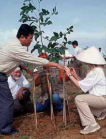 Photo of planting trees in Vietnam